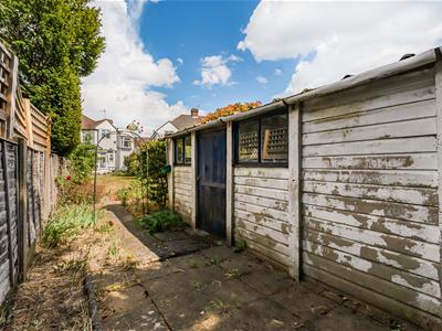 Picture 21